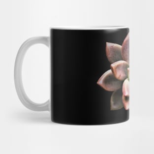 Sedum Bronze Mug